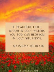 60 Quotes About Blooming Like A Flower To Inspire You Tickled Think