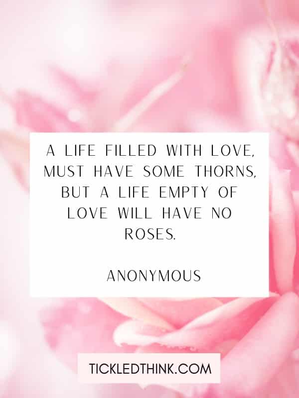 Beautiful rose quotes 1