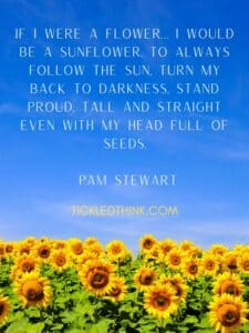 60+ Cute Sunflower Quotes and Sayings to Brighten your Day - Tickled Think