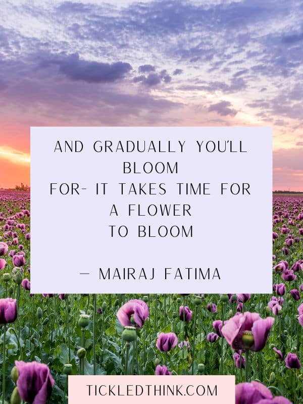 60+ Quotes about Blooming like a Flower to Inspire you - Tickled Think