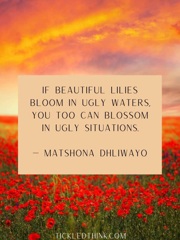 MORE BLOOMING QUOTED AND SAYINGS