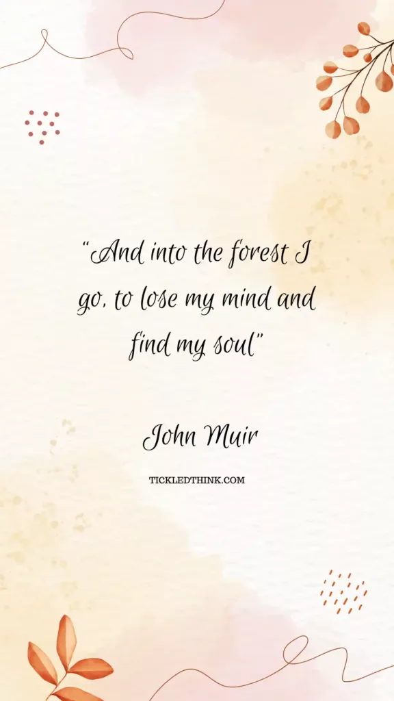 Forest quotes and quotes about the forest