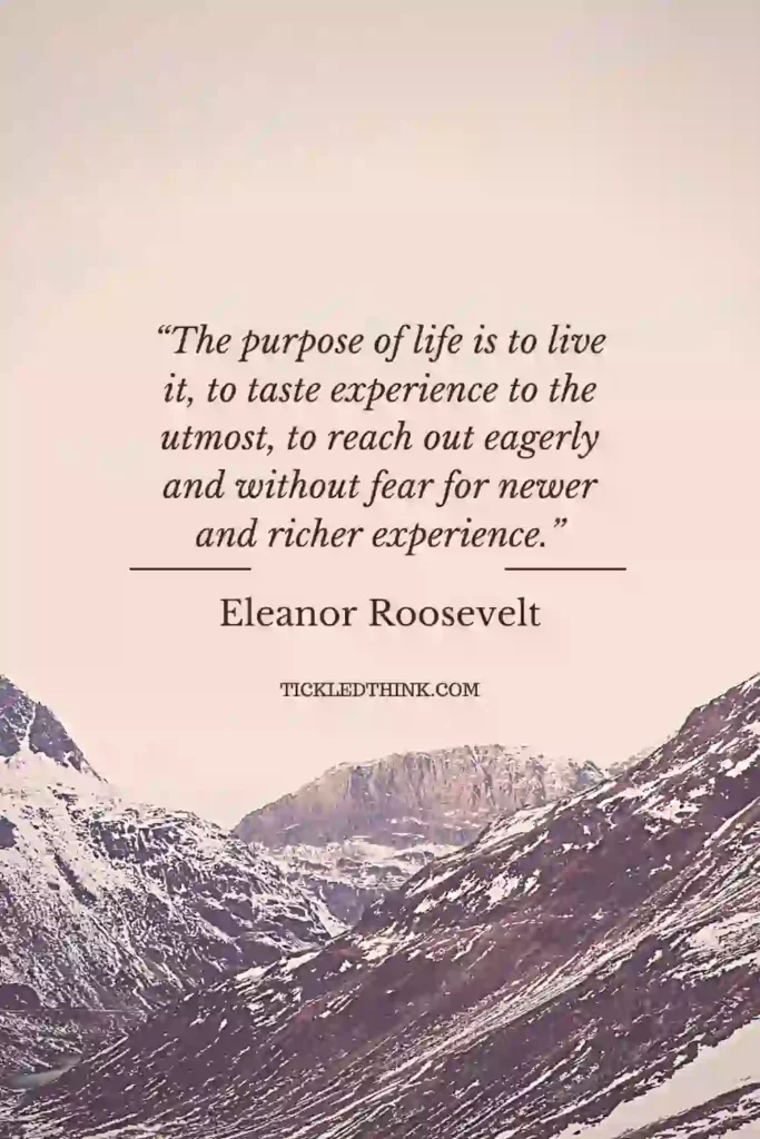 70 Experience Quotes For Living Your Best Life - Tickled Think